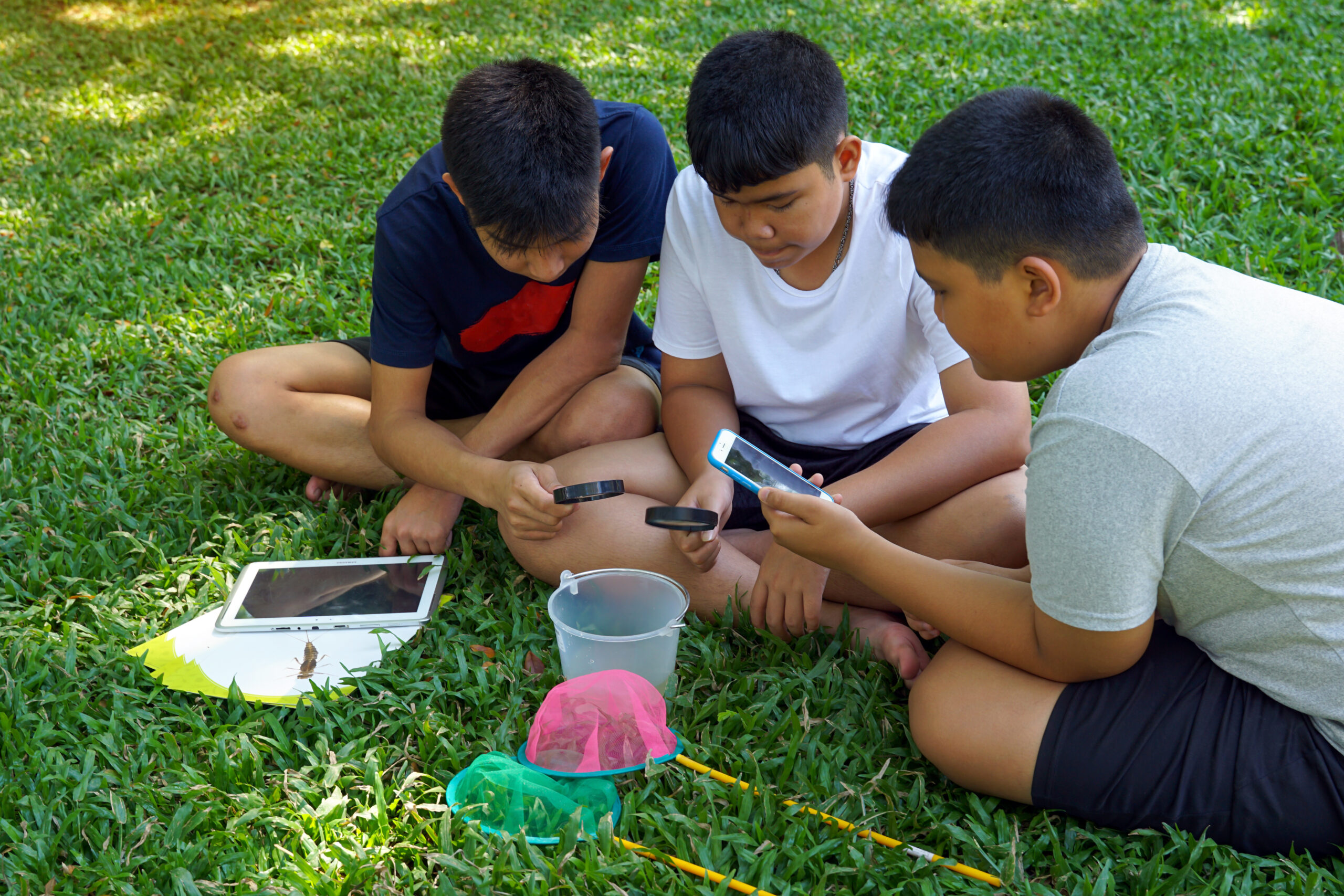 Asian boy and friends Sit together in groups on the grass and help identify species. and types of organisms found in community water sources. The concept of learning science outside the classroom.